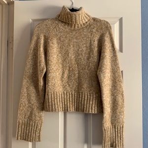 Q&A Tan Turtleneck Sweater